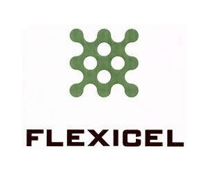 FLEXICEL INDUSTRIAL: Auditoría interna de sus sistemas de gestión según la ISO 9001:2015 y 14001:2015
