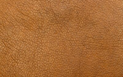 Maximizando Beneficios con la Certificación de Leather Working Group: Una Guía para Empresas