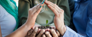 desempeño ambiental en la empresa